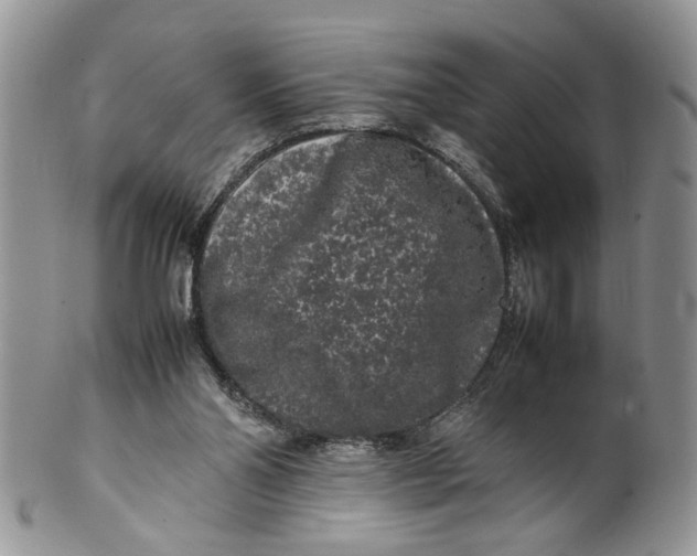 X0000099940110200806131434