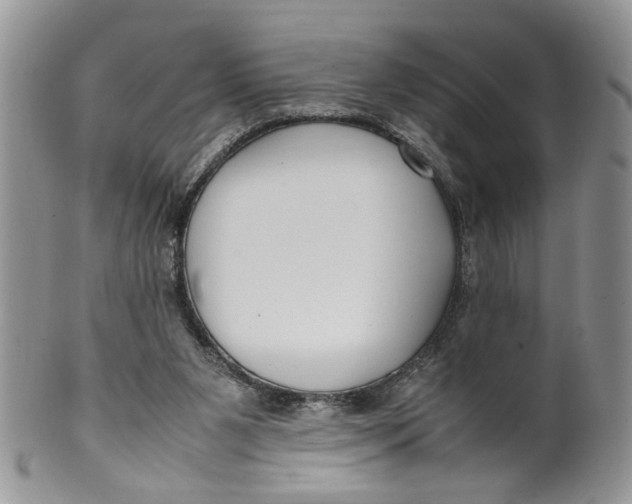 X0000099940111200806131434