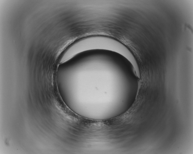 X0000099940112200806131434