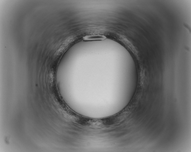 X0000099940113200806131434