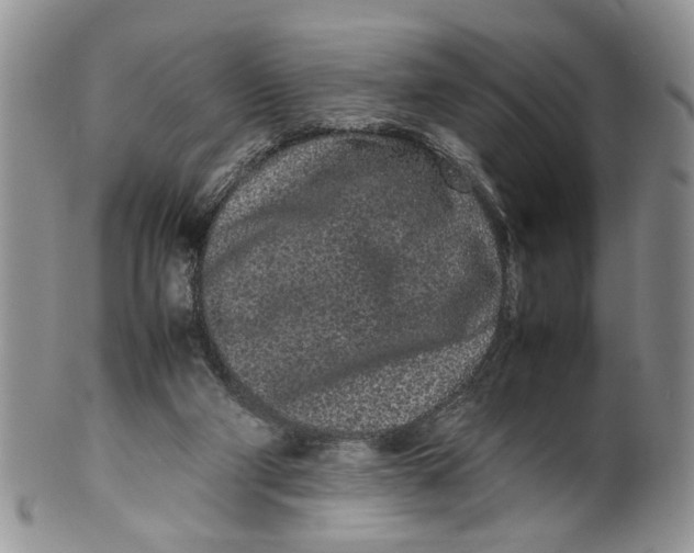 X0000099940114200806131434