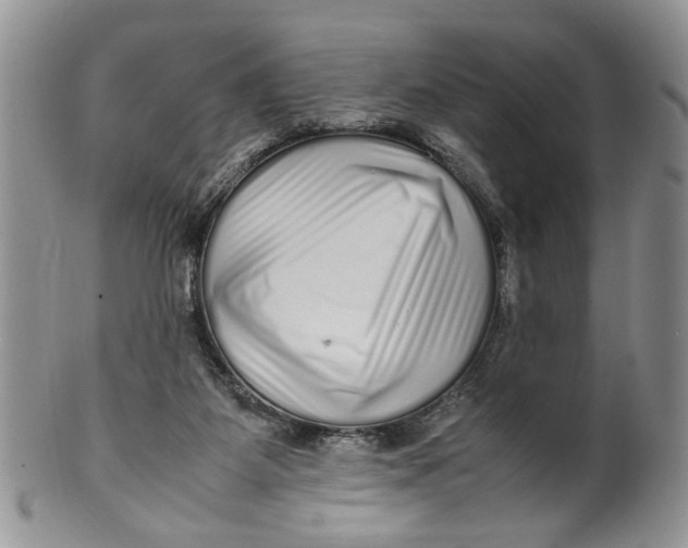 X0000099940115200806131434