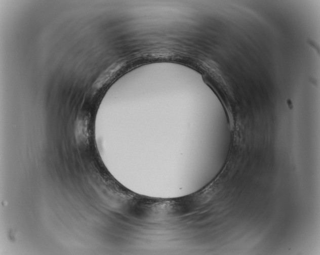 X0000099940116200806131434