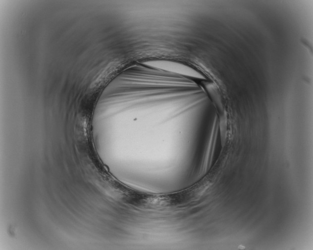 X0000099940117200806131434