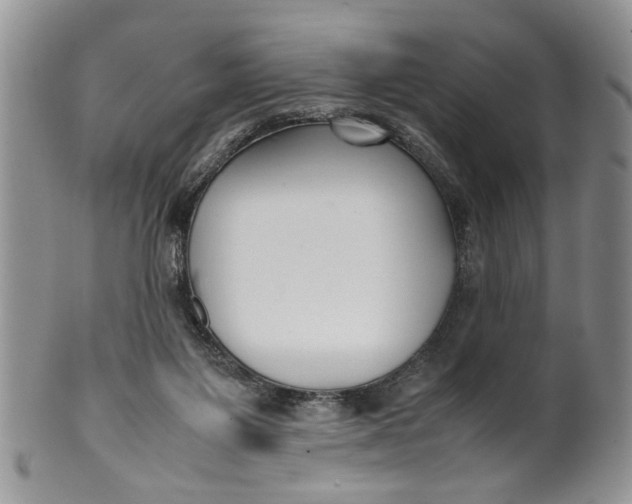 X0000099940119200806131434