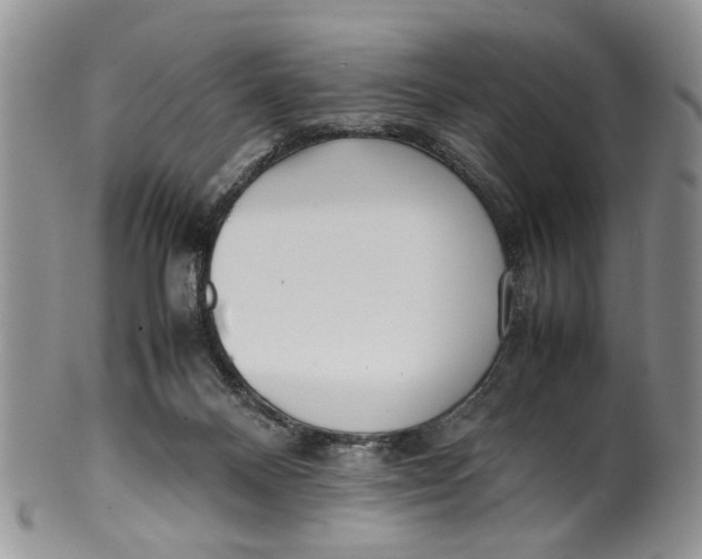 X0000099940120200806131434