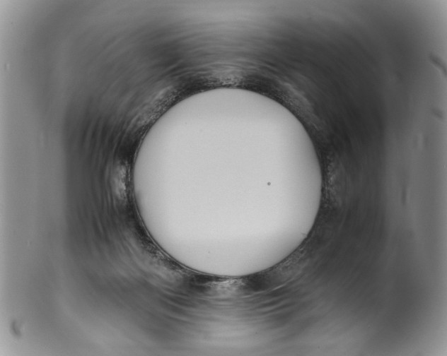 X0000099940122200806131434