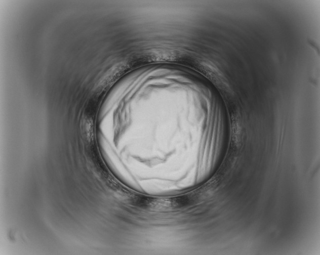 X0000099940123200806131434