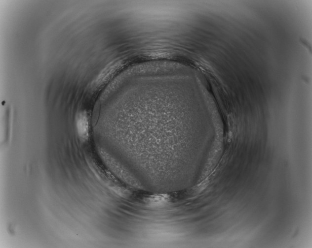 X0000099940124200806131434