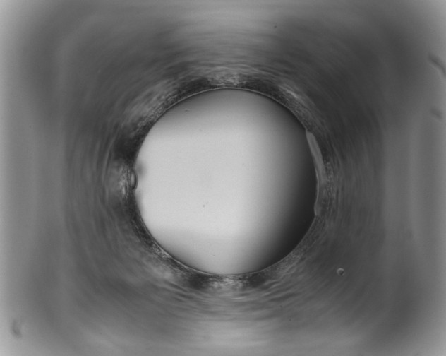 X0000099940125200806131434