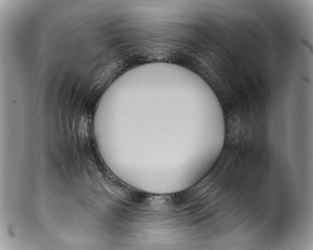 X0000099940126200806131434