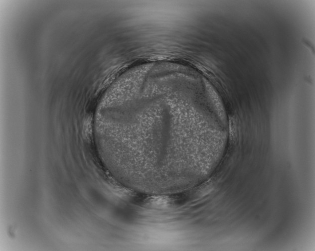 X0000099940127200806131434