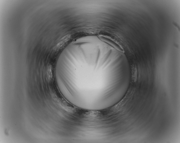 X0000099940128200806131434