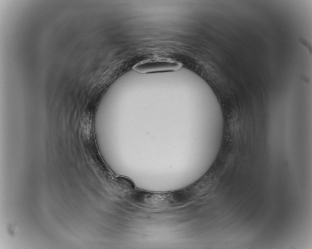 X0000099940129200806131434