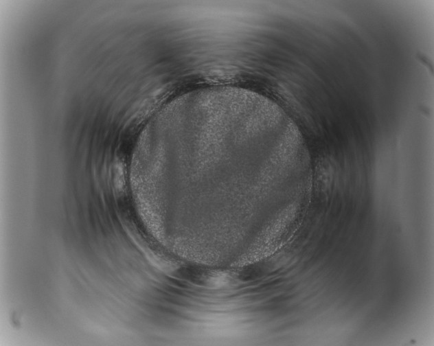 X0000099940130200806131434