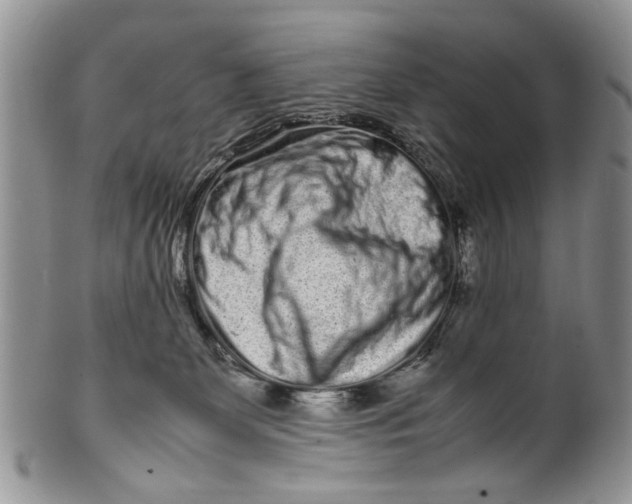 X0000099940131200806131434