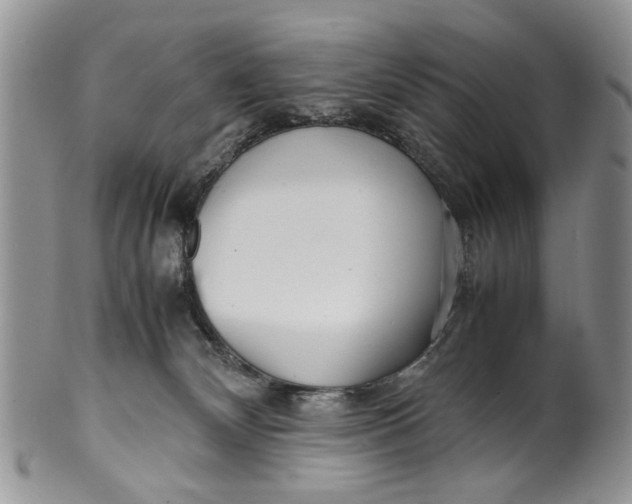 X0000099940132200806131434