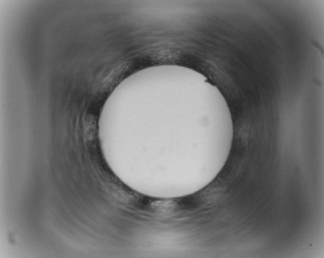 X0000099940133200806131434