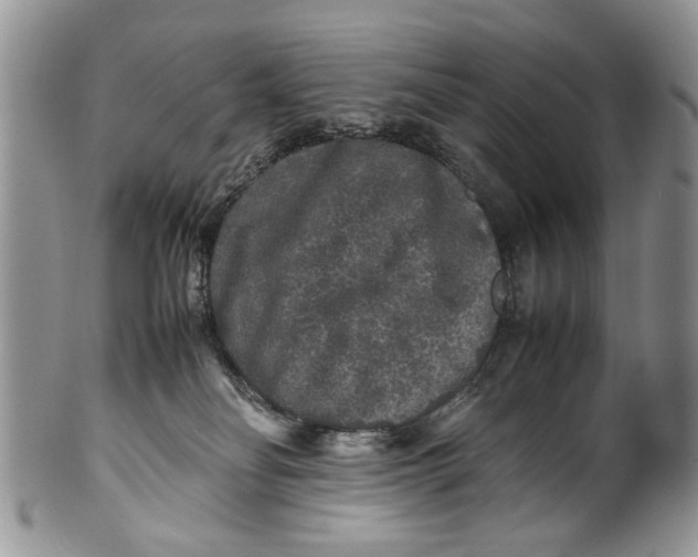 X0000099940134200806131434