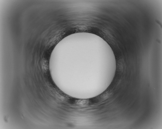 X0000099940135200806131434