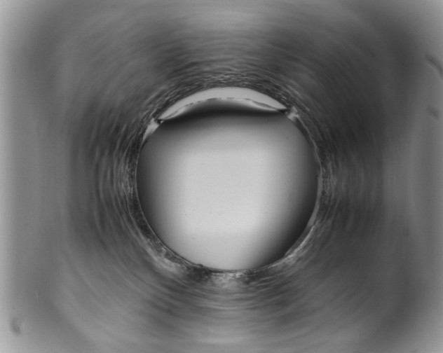 X0000099940136200806131433