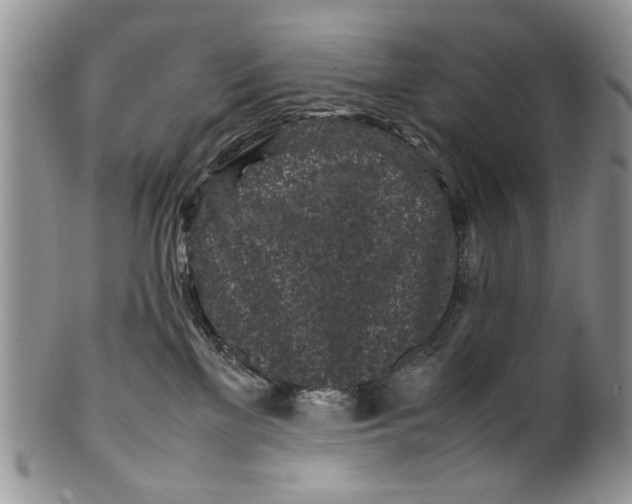 X0000099940137200806131433