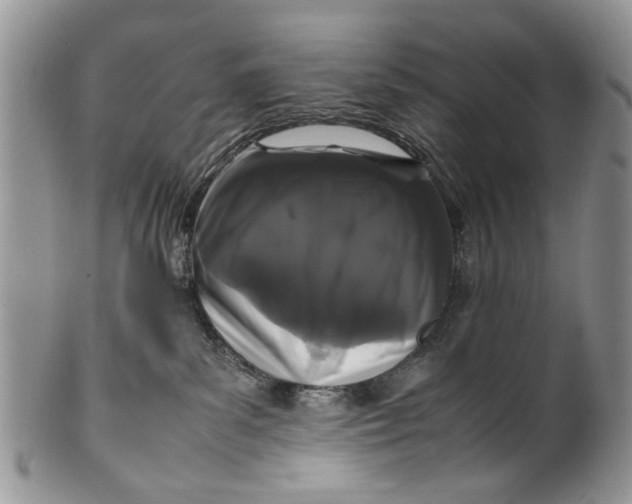 X0000099940139200806131433