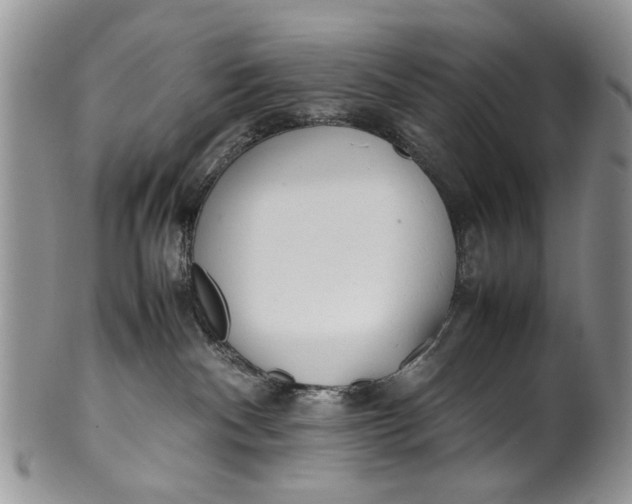 X0000099940140200806131433