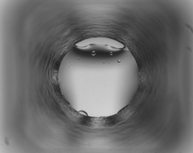 X0000099940141200806131433