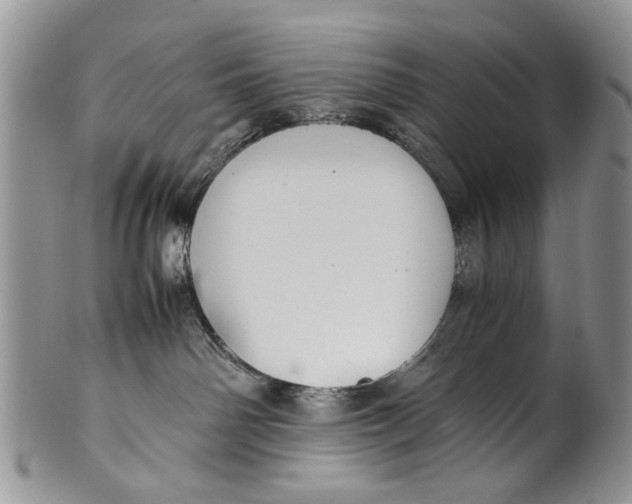 X0000099940142200806131433