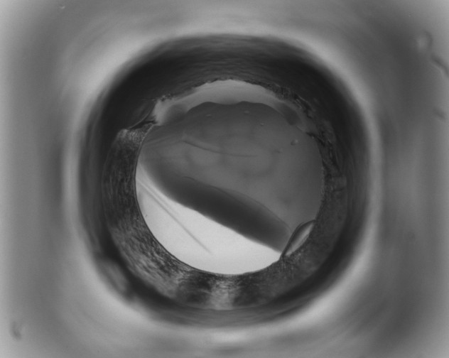 X0000099940143200806131433