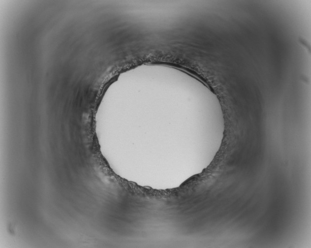 X0000099940144200806131433