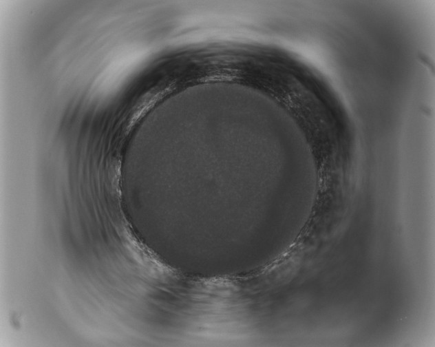 X0000099940146200806131433