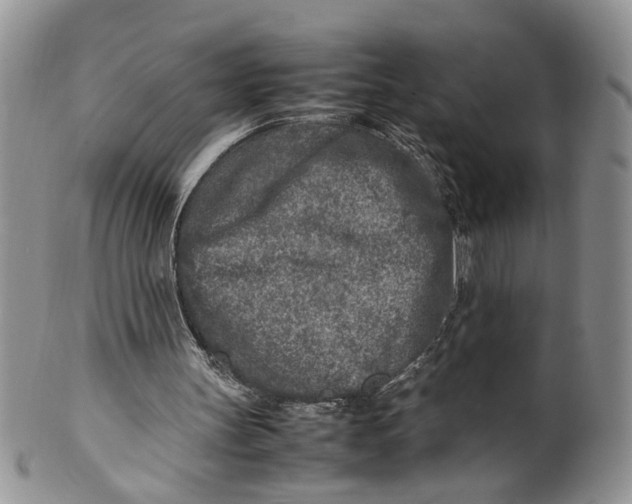 X0000099940147200806131433