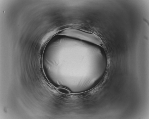 X0000099940149200806131433