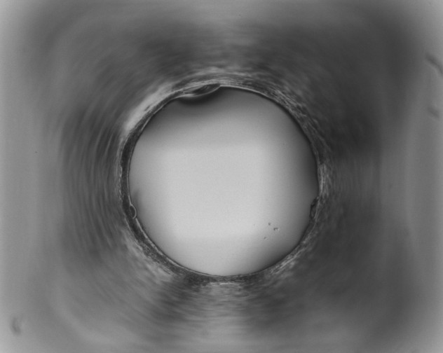 X0000099940150200806131433