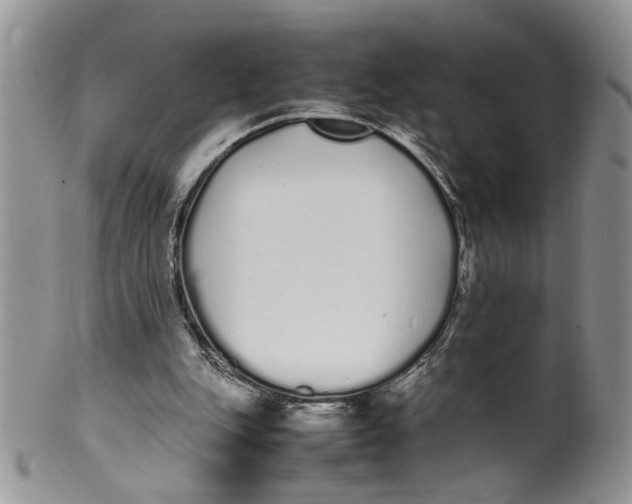 X0000099940151200806131433