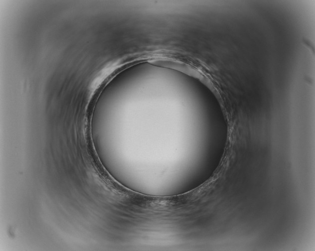 X0000099940152200806131433