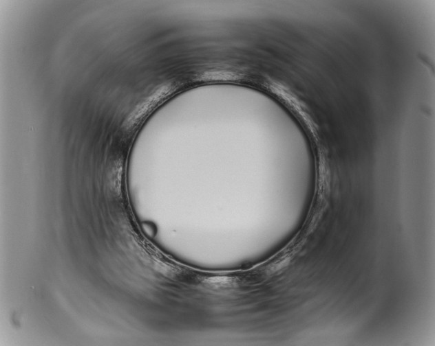 X0000099940153200806131433