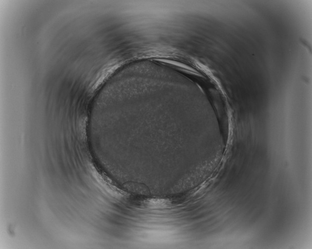 X0000099940154200806131433