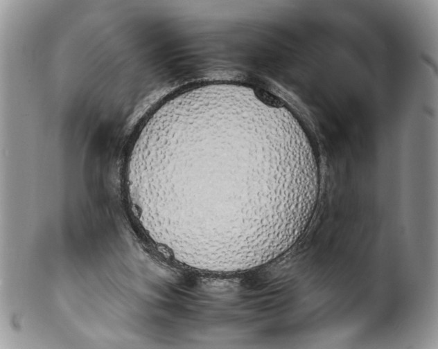 X0000099940155200806131433