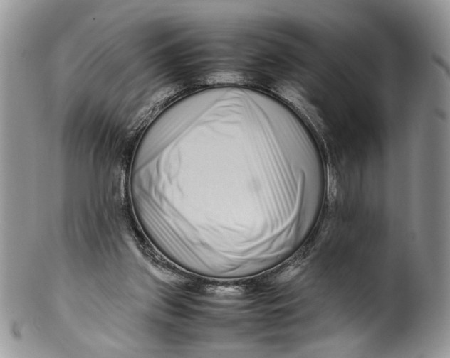 X0000099940157200806131433