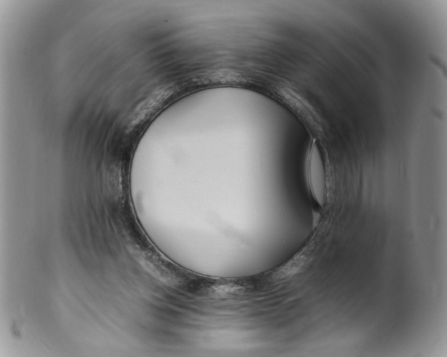 X0000099940158200806131433