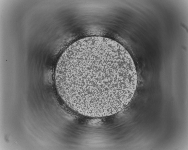 X0000099940162200806131433