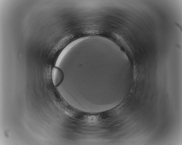 X0000099940163200806131433