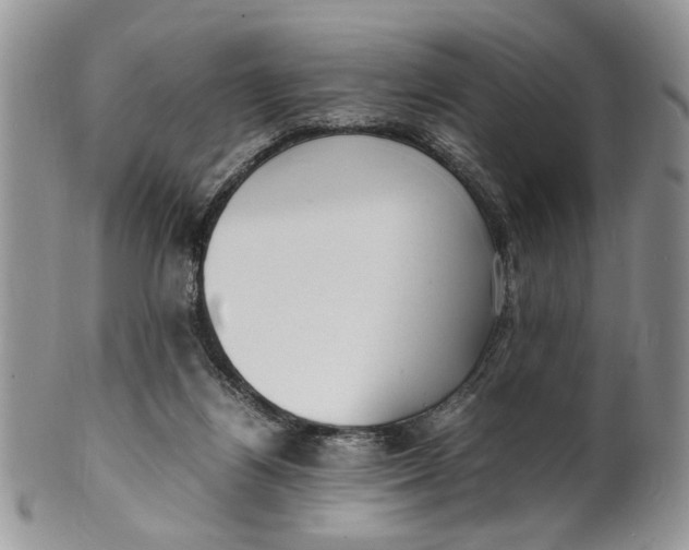 X0000099940164200806131433