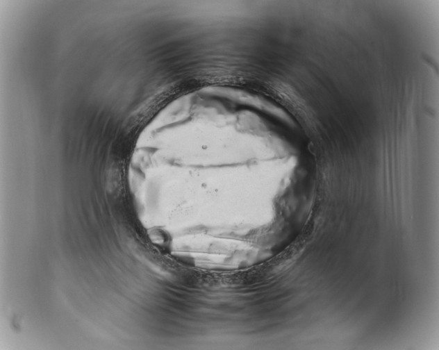 X0000099940165200806131433