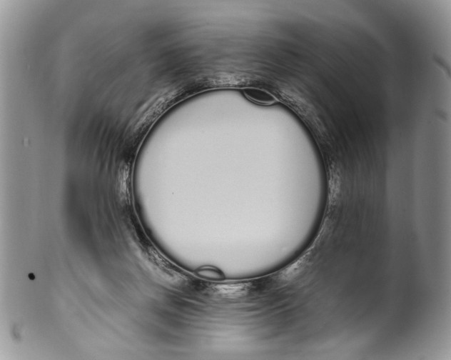 X0000099940166200806131433