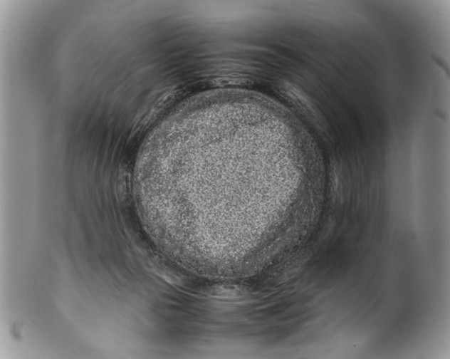 X0000099940169200806131433