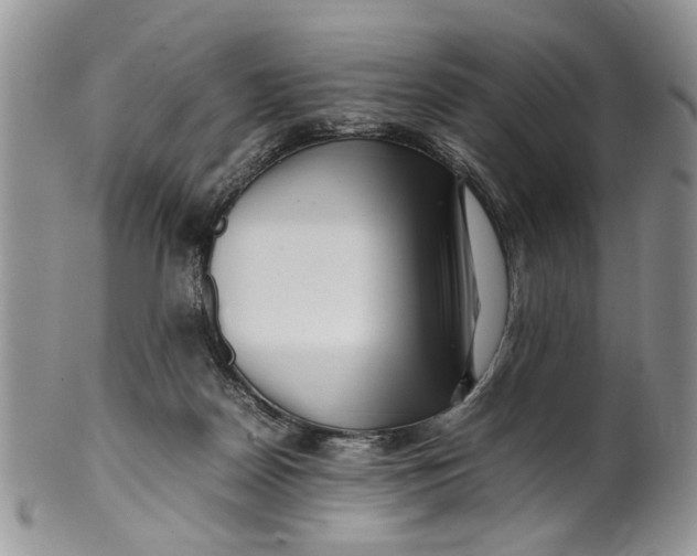 X0000099940170200806131433